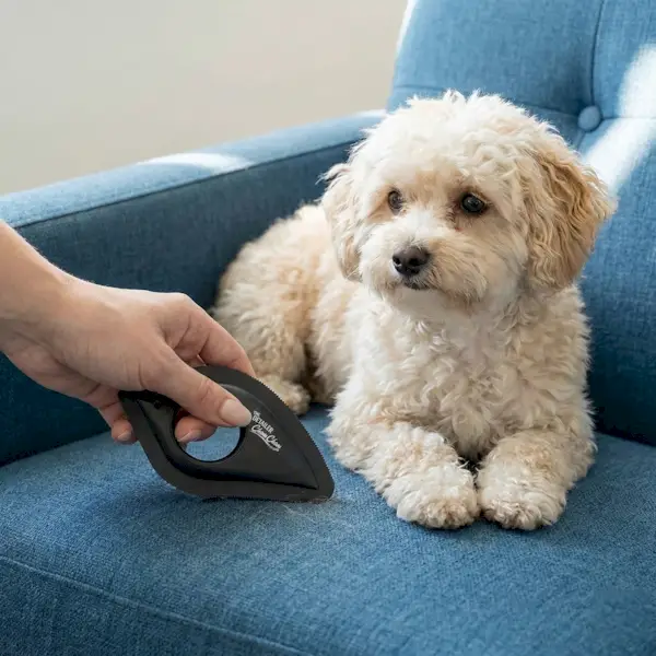 chom-chom-roller-detailer-2 ChomChom Roller Detailer- Scraper for Pet Hair Remover and Lint