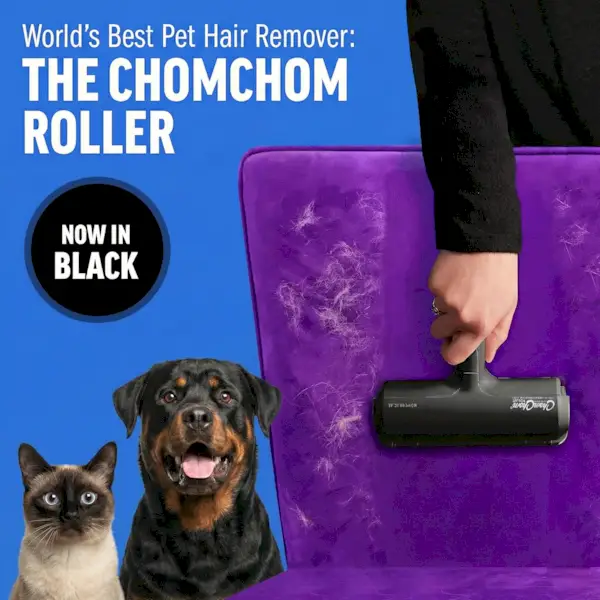 ChomChom Pet Hair Roller Black