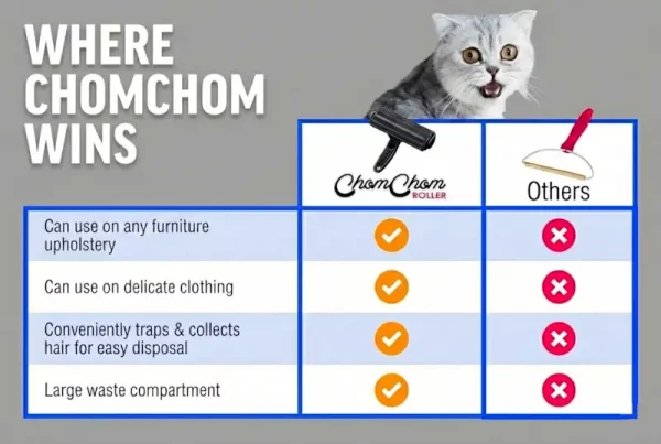 ChomChom Pet Hair Roller Black